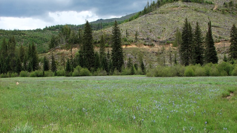 Idaho: Palouse River Road Hero Photo