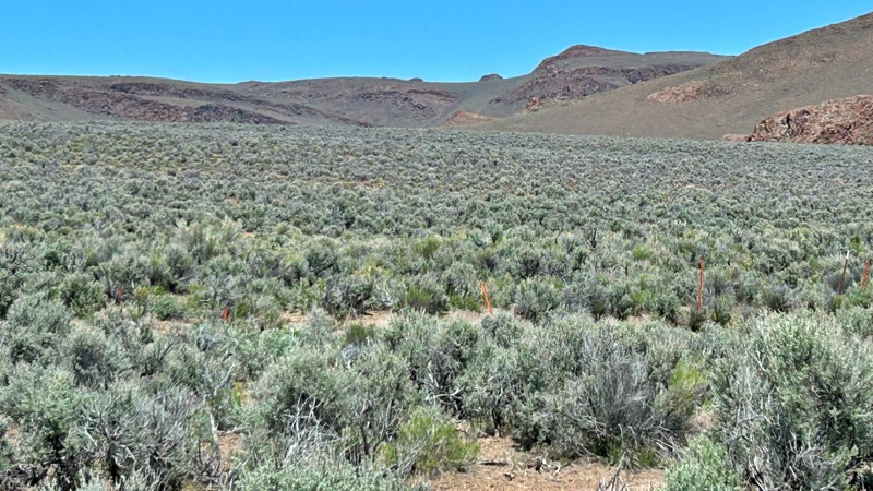 Smoky Canyon Trail Review Photo