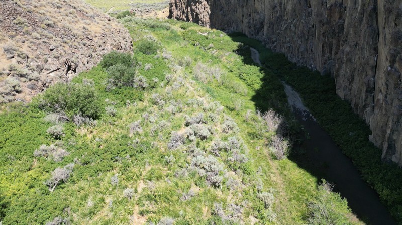 High Rock Canyon Trail Review Photo
