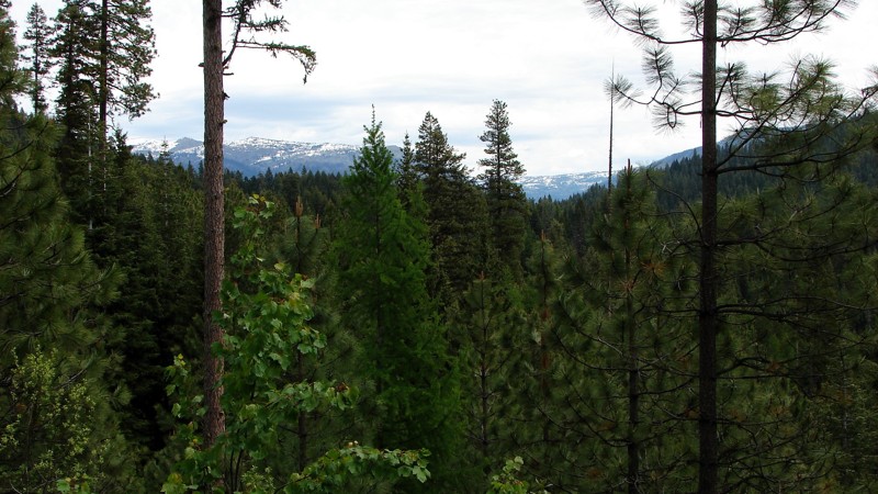 Idaho: Smokey Boulder Road Hero Photo