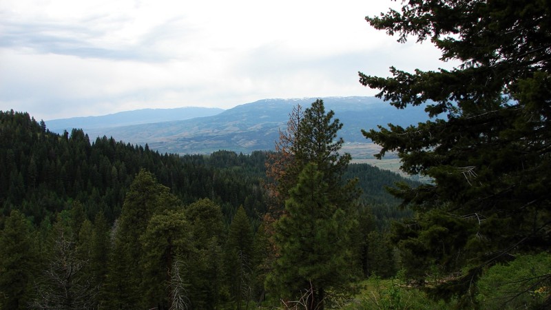 Idaho: Cottonwood Road Hero Photo