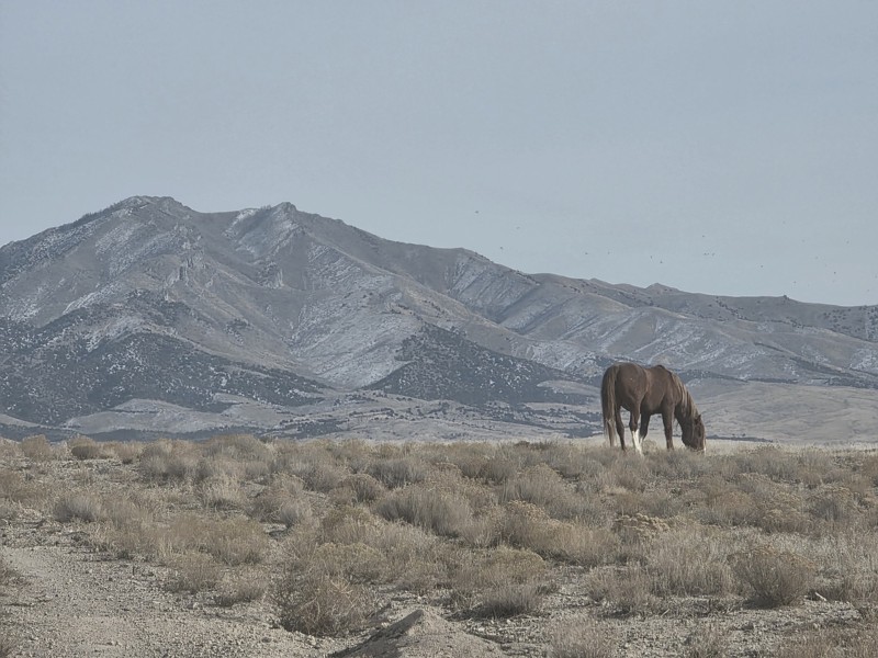 Davis Mountain Loop Trail Review Photo