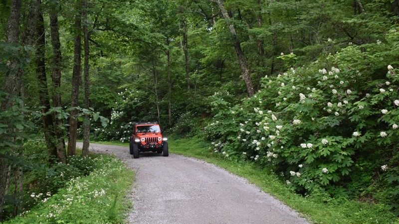 Military Road Trail Review Photo