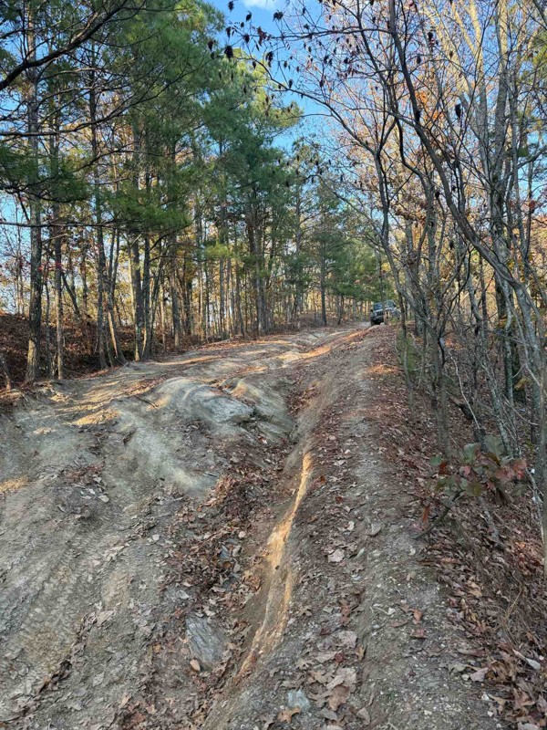 Middle Skyway Motorway Trail Review Photo