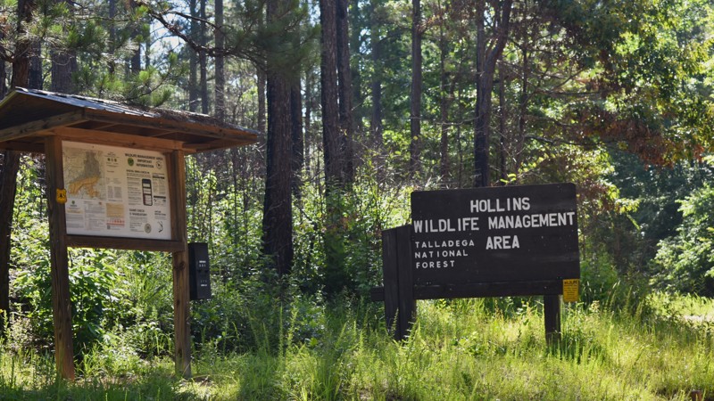 Rocky Mountain Road Trail Review Photo