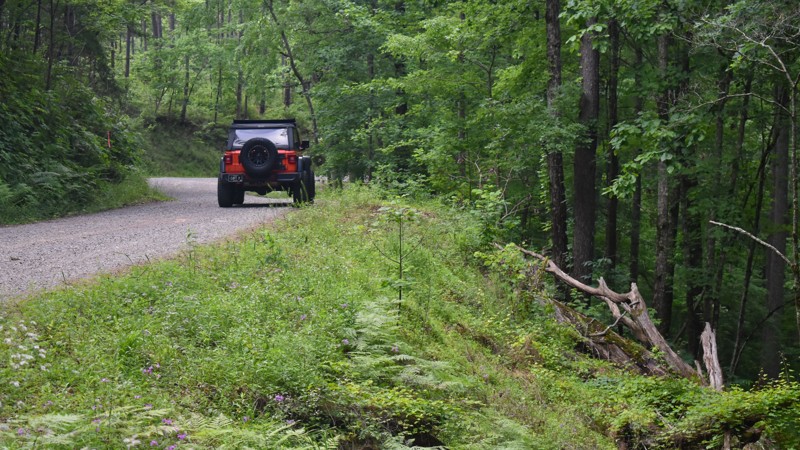 Upper Skyway Motorway Trail Review Photo