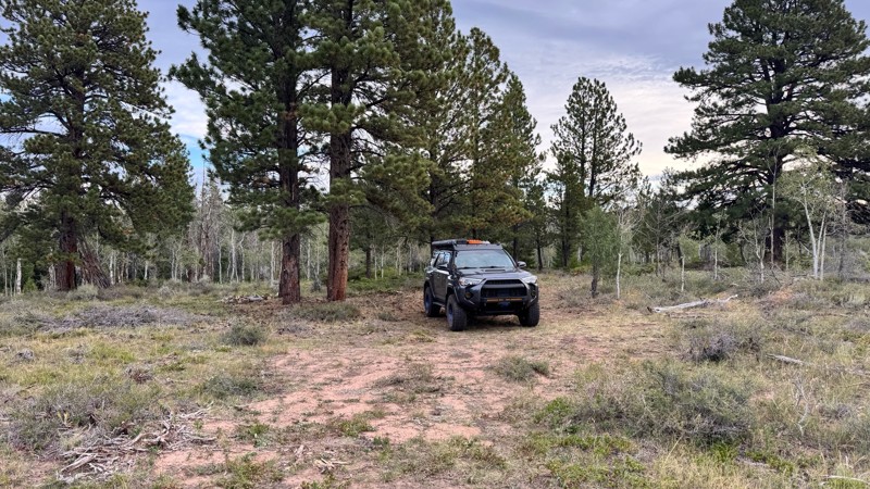 East Ashley Grasshopper Trail Review Photo