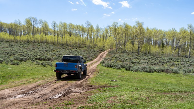 Red Pine Trail Review Photo