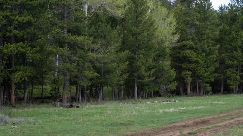 East Draw Trail Review Photo