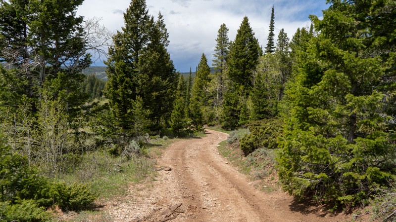 East Draw Trail Review Photo