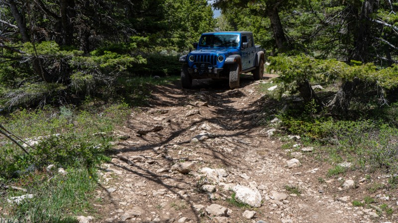 Limestone Ridge Trail Review Photo