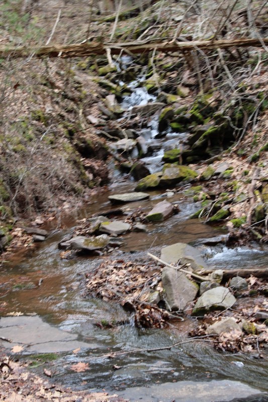 Fort Seybert Trail Review Photo