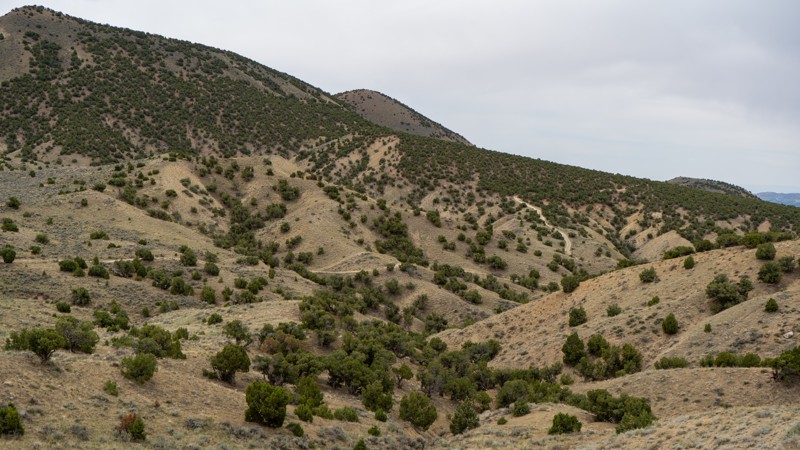 Utah: Widow Maker Hero Photo