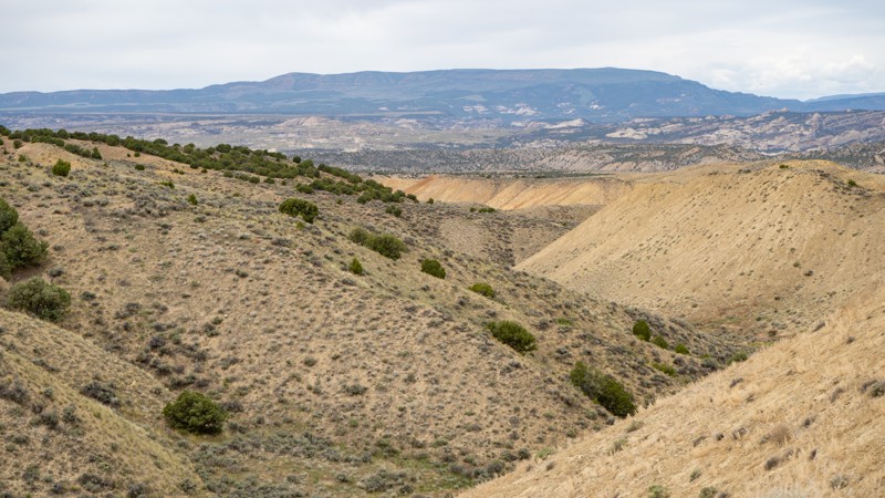 Widow Maker Trail Review Photo