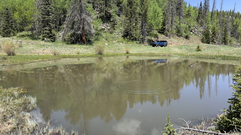 Colorado: Holt Mountain Hero Photo