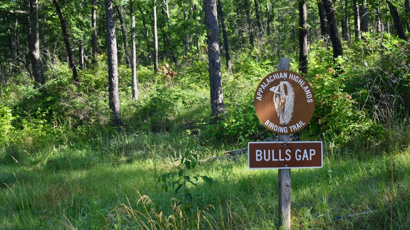 Bulls Gap-Sycamore Trail Review Photo