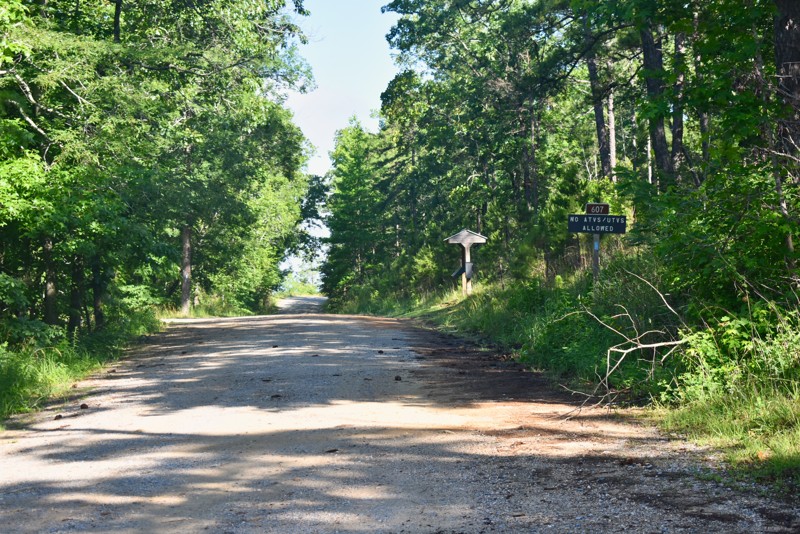 Bulls Gap-Sycamore Trail Review Photo