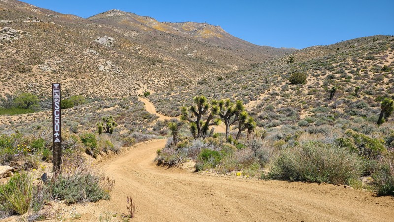 California: Scodie Mountains 50 Hero Photo
