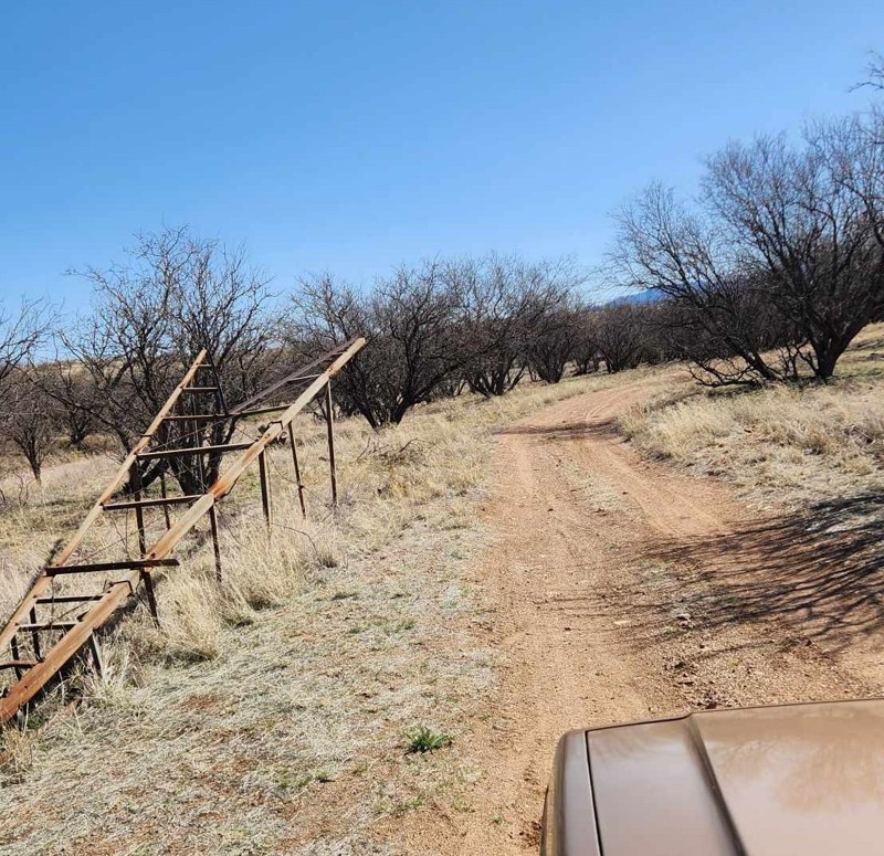 Oak Tree Canyon Trail Review Photo