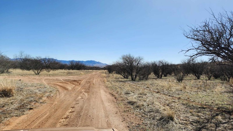 Oak Tree Canyon Trail Review Photo