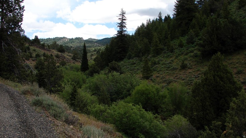 Idaho: Trout Creek Road Hero Photo