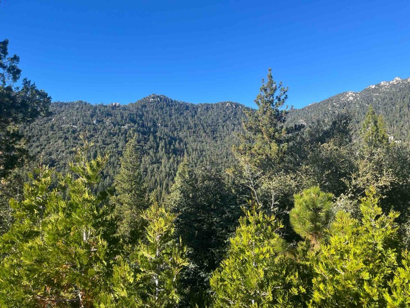 Dark Canyon Road Trail Review Photo