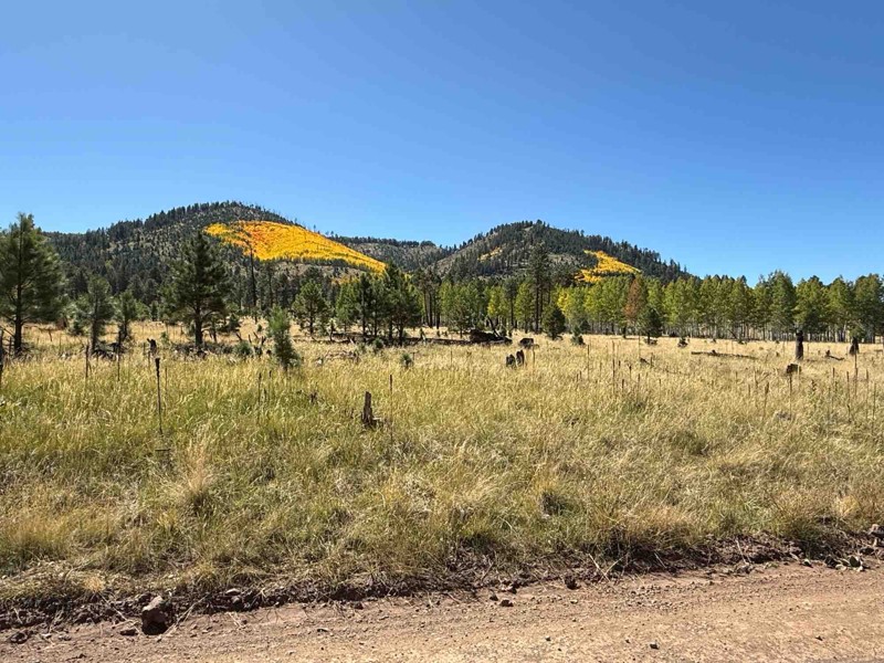 Old "190" Kendrick Trailhead Trail Review Photo
