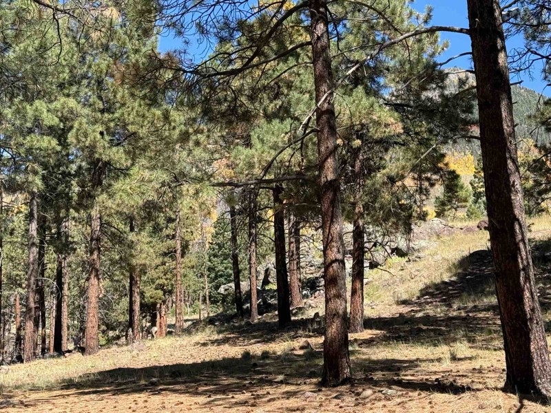 Old "190" Kendrick Trailhead Trail Review Photo