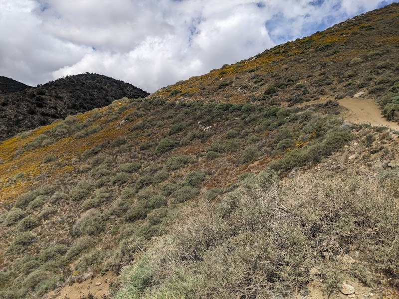 Horse Mountain Trail Review Photo