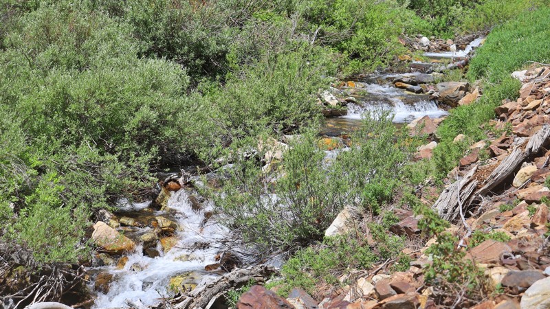 Little Fall Creek Trail Review Photo