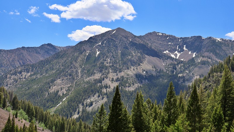 Little Fall Creek Trail Review Photo
