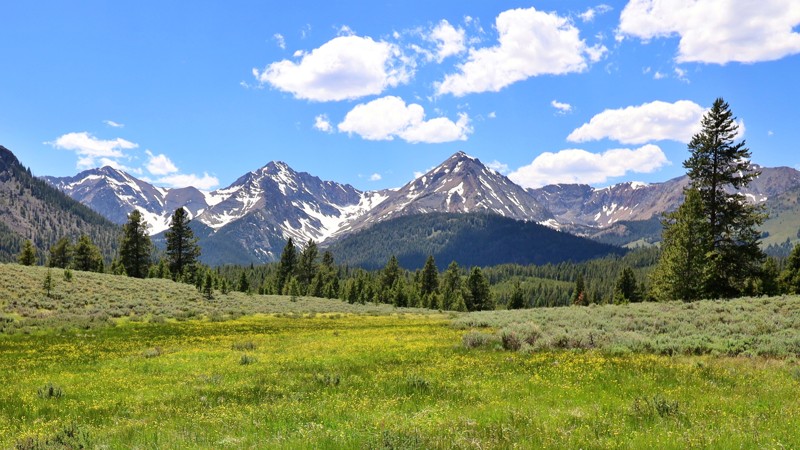 Idaho: North Fork Big Lost River Hero Photo