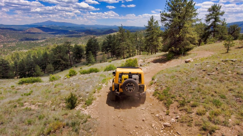 Colorado: Forest Service 204 Hero Photo