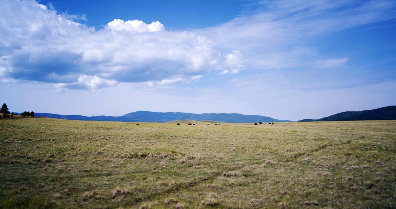Pole Knoll Trail Review Photo