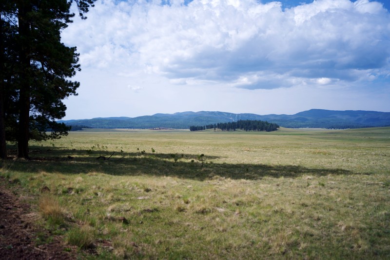 Pole Knoll Trail Review Photo