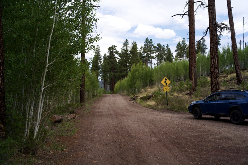 East Fork Road Trail Review Photo