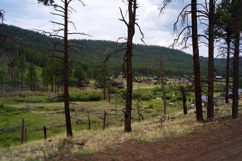 East Fork Road Trail Review Photo