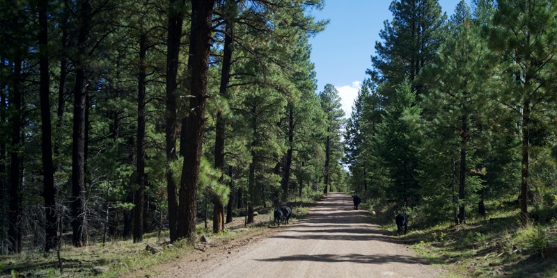 Porter Spring Trail Review Photo