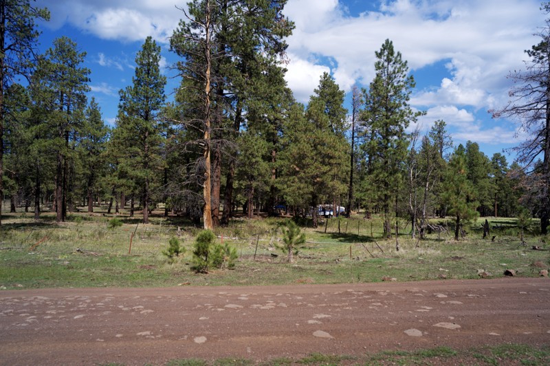 Porter Spring Trail Review Photo