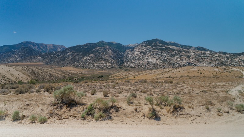 Gandy Road Trail Review Photo