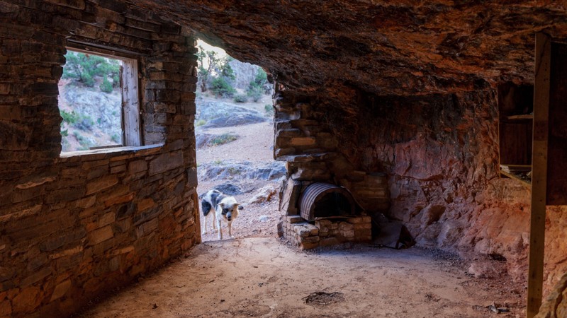 Old 6 and 50 Trail Review Photo