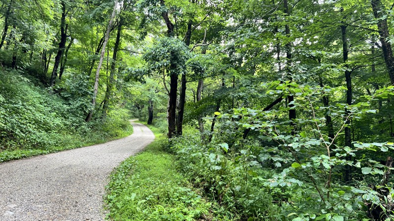 Virginia: Crabtree Meadows Hero Photo