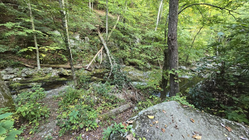 Big Piney Trail Review Photo