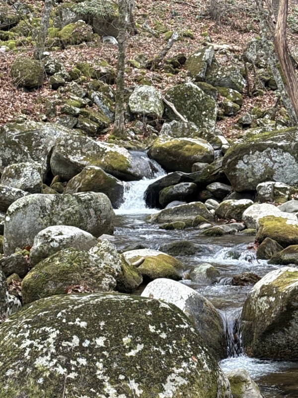 Big Piney Trail Review Photo