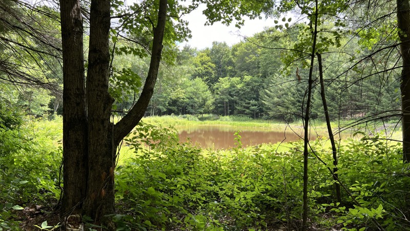 Virginia: Puffenbarger Pond Hero Photo