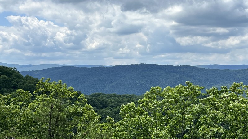 Virginia: Sugar Tree Hero Photo