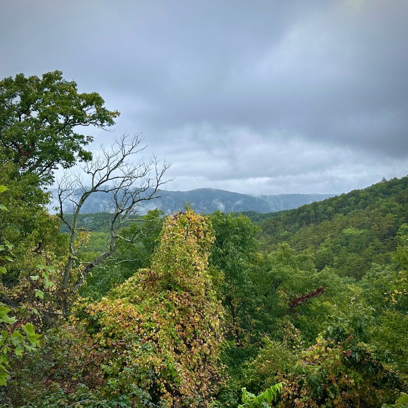 Sugar Tree Trail Review Photo
