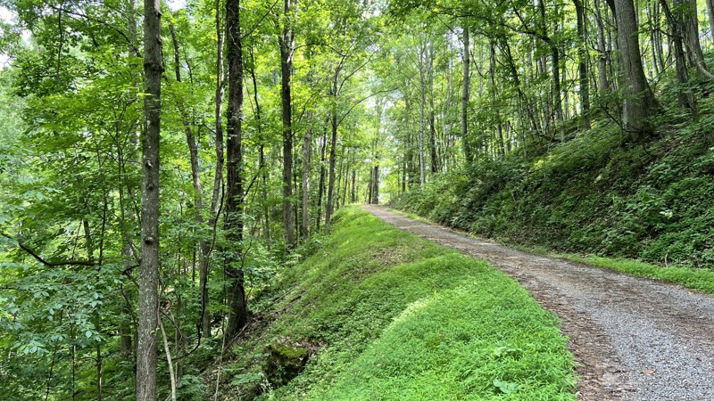 Piney Mountain Trail Review Photo