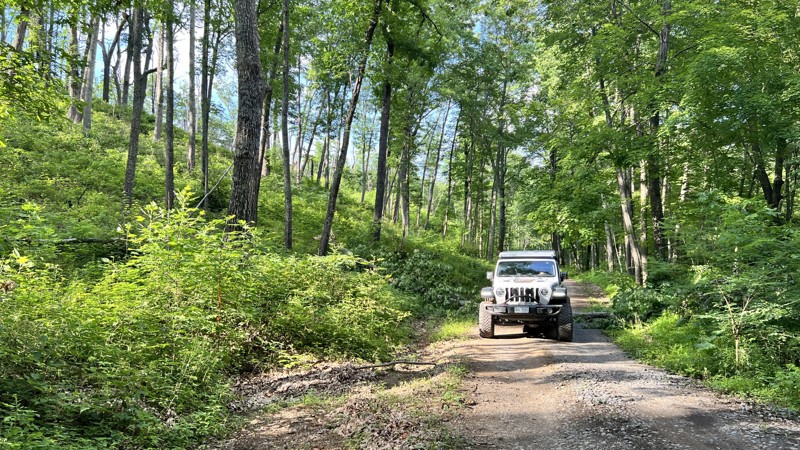 Dolly Anne Trail Review Photo