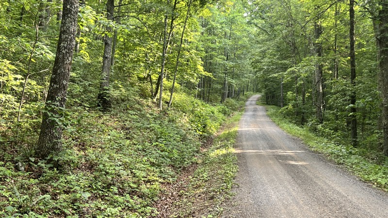 Dolly Anne Trail Review Photo
